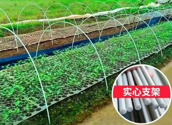 Batang Plastik Bertulang Serat 10mm Batang Fiberglass Fleksibel Untuk Penanaman Rumah Kaca