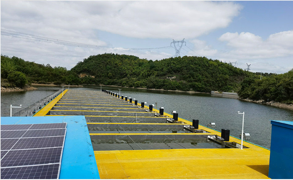 Ukuran yang disesuaikan FRP Grating Untuk Membangun Tangga Keamanan Dan Platform Walkway
