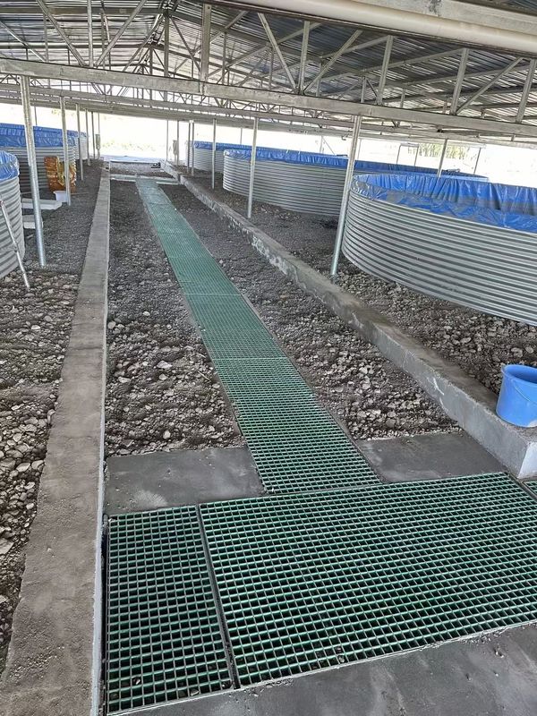 Fish Farm FRP Grating Walkway atau Platform Dapat Disesuaikan Untuk Ukuran Dan Warna