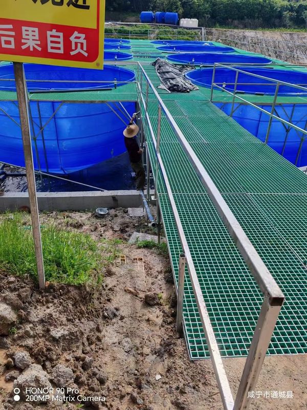 Fish Farm FRP Grating Walkway atau Platform Dapat Disesuaikan Untuk Ukuran Dan Warna