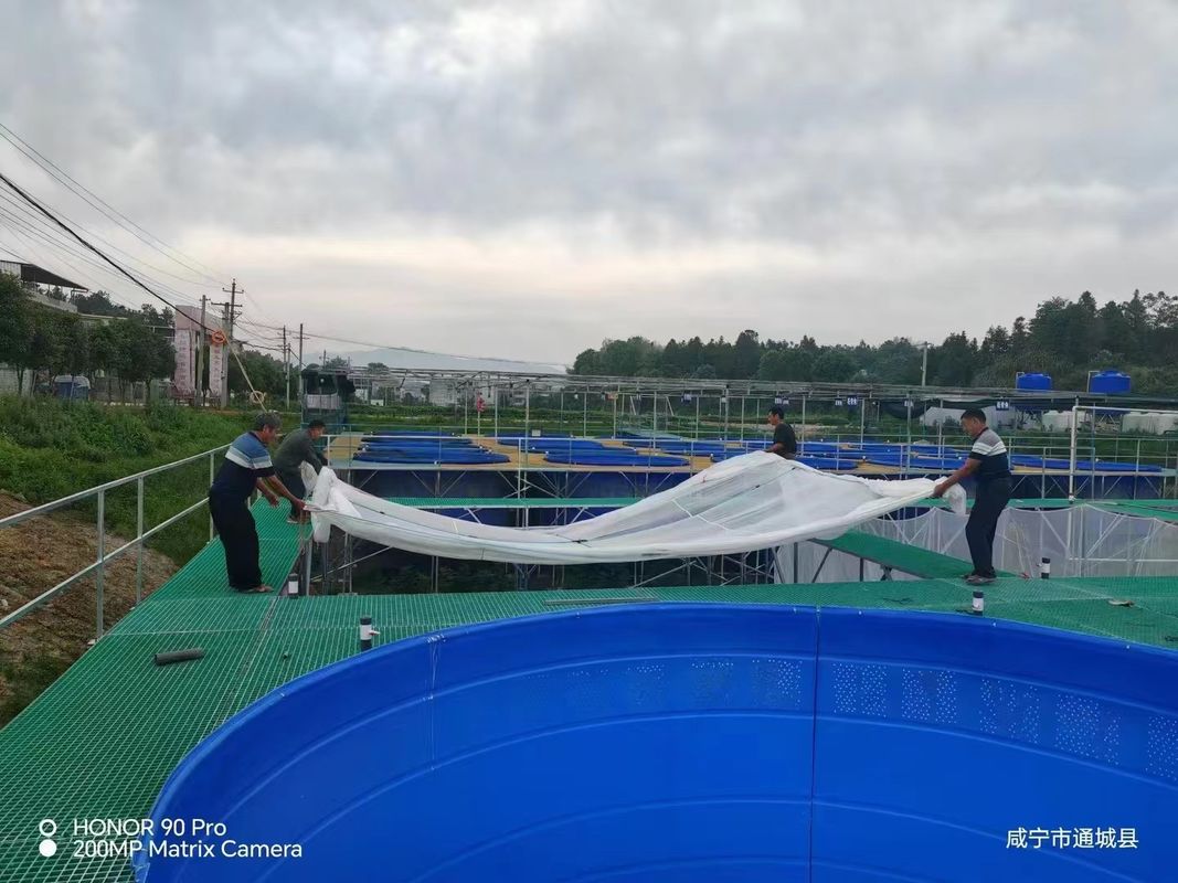 Fish Farm FRP Grating Walkway atau Platform Dapat Disesuaikan Untuk Ukuran Dan Warna